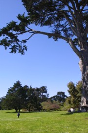 IMG_0294.jpg