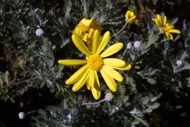 IMG_0304.jpg