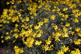 IMG_0305.jpg