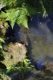 IMG_0327.jpg