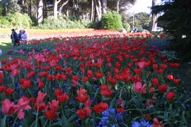IMG_0364.jpg