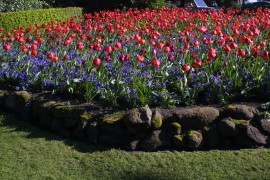 IMG_0375.jpg