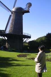 IMG_0385.jpg