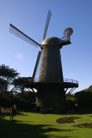 IMG_0387.jpg