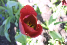 IMG_0389.jpg