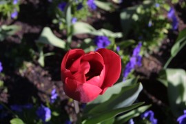IMG_0390.jpg