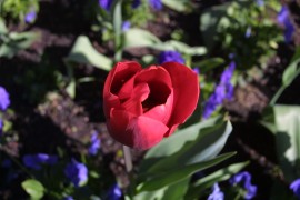 IMG_0391.jpg