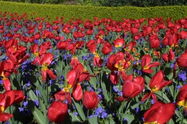 IMG_0392.jpg