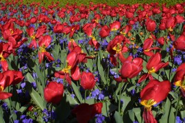 IMG_0393.jpg