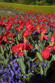 IMG_0394.jpg