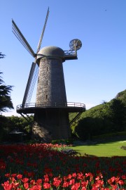 IMG_0396.jpg