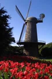 IMG_0397.jpg