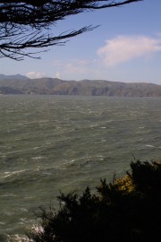 IMG_0402.jpg