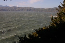 IMG_0403.jpg