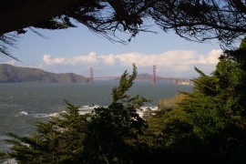 IMG_0408.jpg