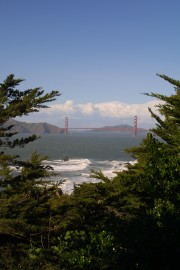 IMG_0410.jpg