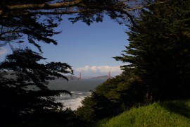 IMG_0413.jpg