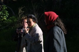 IMG_0415.jpg