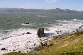 IMG_0425.jpg