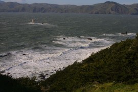 IMG_0426.jpg