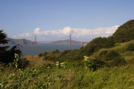IMG_0427.jpg