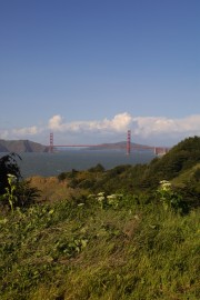 IMG_0428.jpg