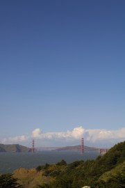 IMG_0429.jpg