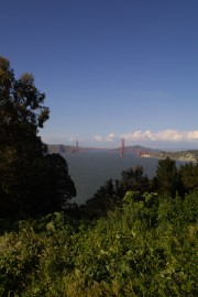 IMG_0438.jpg