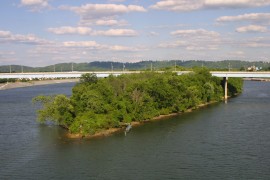 IMG_0569.jpg