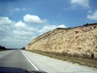 IMG_1735.jpg