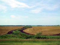 IMG_1867.jpg