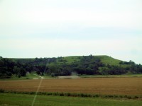 IMG_1869.jpg
