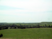 IMG_1874.jpg