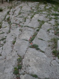DSCN0316.jpg
