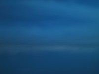 IMG_1267.jpg