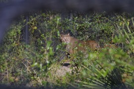 IMG_0940.jpg