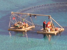 DSCN0837.jpg