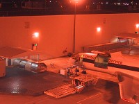IMG_1554.jpg