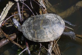 IMG_1304.jpg