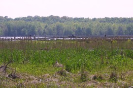 IMG_1307.jpg
