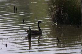 IMG_1309.jpg