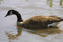 IMG_1311.jpg