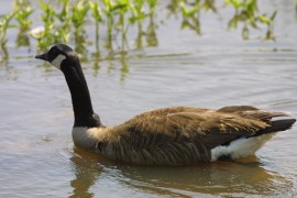 IMG_1312.jpg