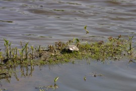 IMG_1318.jpg