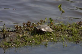 IMG_1320.jpg
