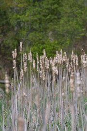 IMG_1349.jpg