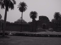 IMG_1802.jpg
