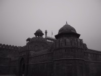 IMG_1815.jpg