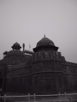 IMG_1816.jpg