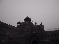 IMG_1818.jpg
